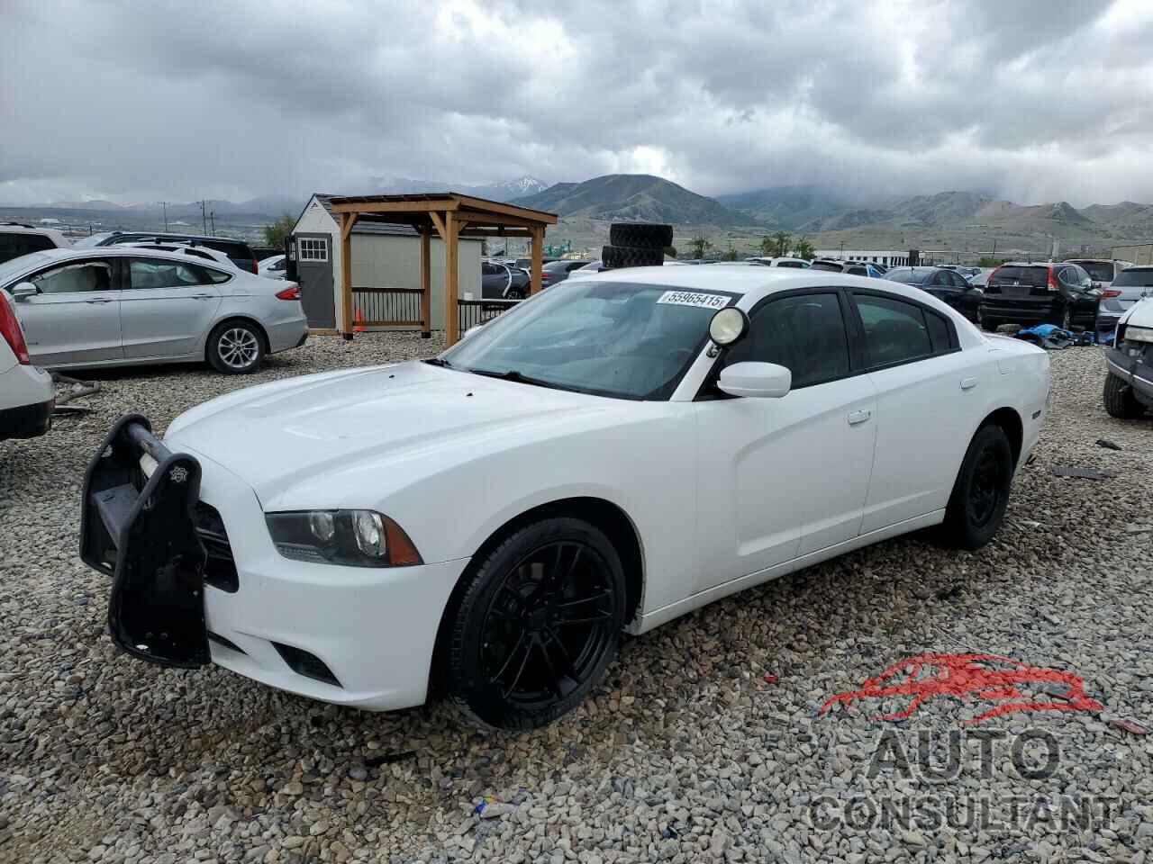DODGE CHARGER 2013 - 2C3CDXAT7DH610485