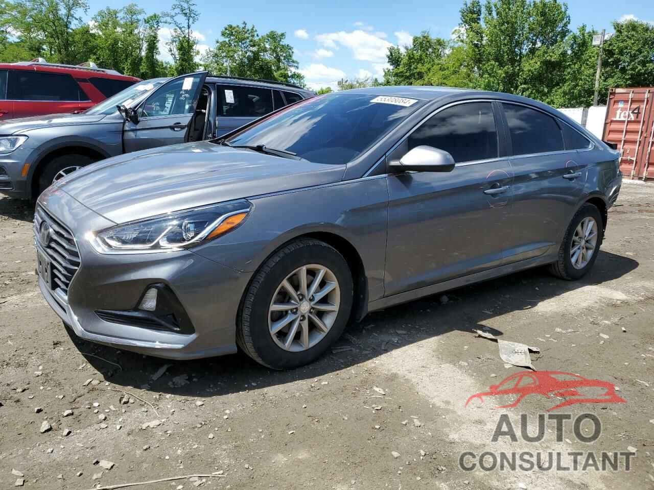 HYUNDAI SONATA 2019 - 5NPE24AF9KH749900