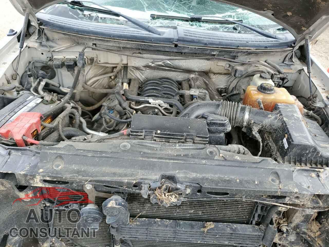 FORD F-150 2013 - 1FTFW1EF6DFD63496