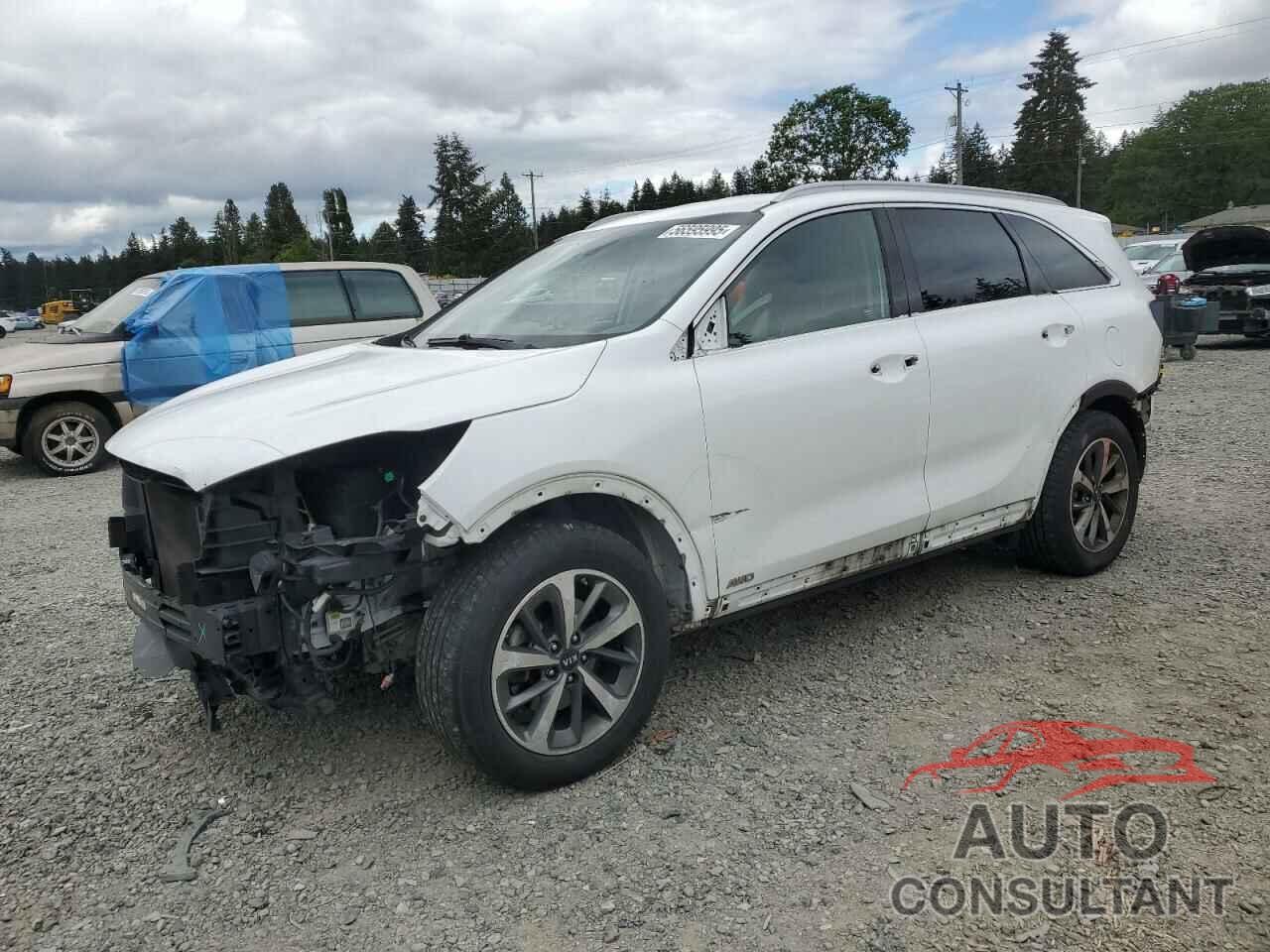 KIA SORENTO 2019 - 5XYPHDA53KG457407