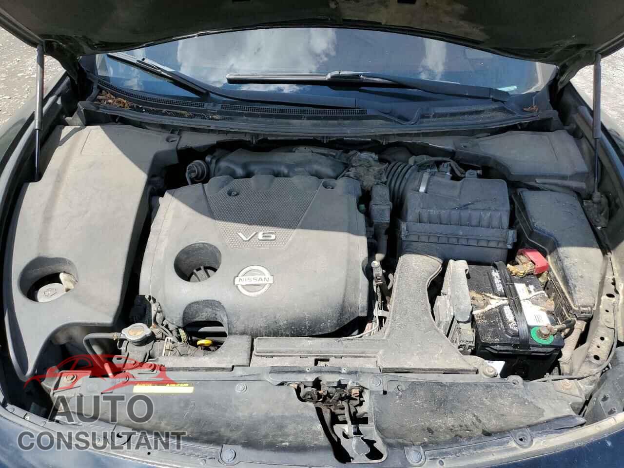 NISSAN MAXIMA 2011 - 1N4AA5AP1BC816233