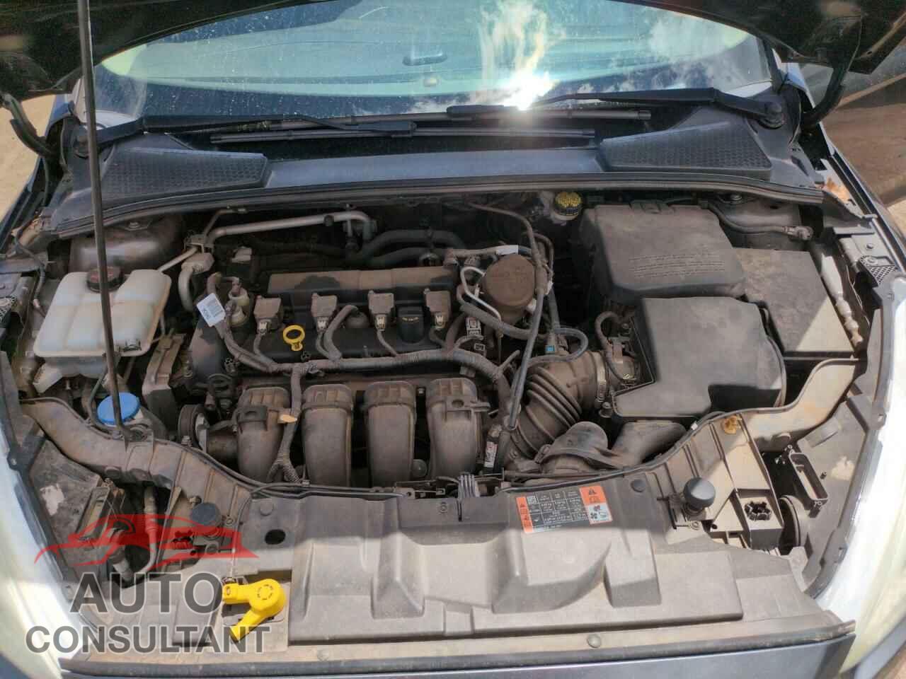 FORD FOCUS 2015 - 1FADP3F29FL328828