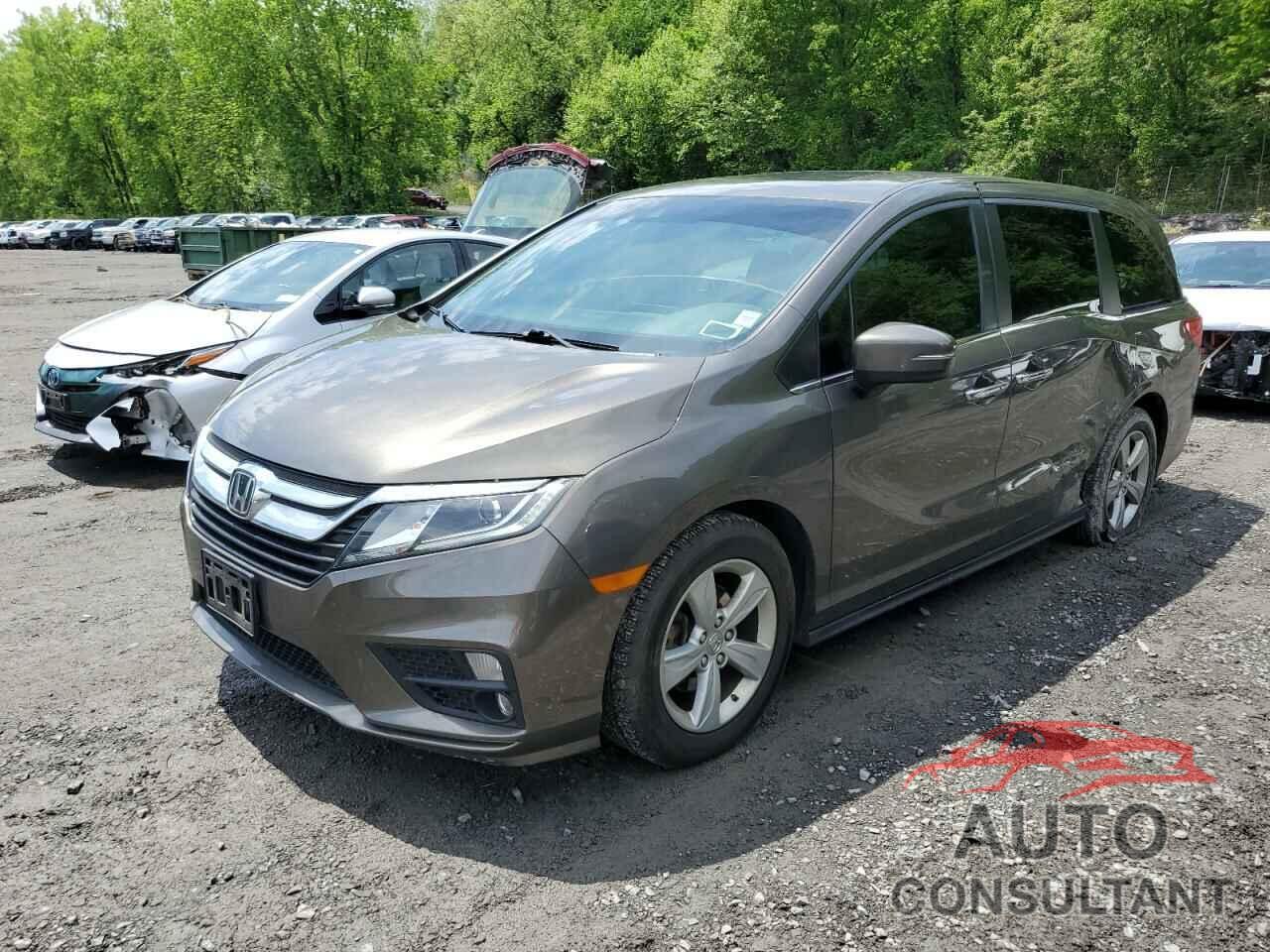 HONDA All Models 2019 - 5FNRL6H75KB123462