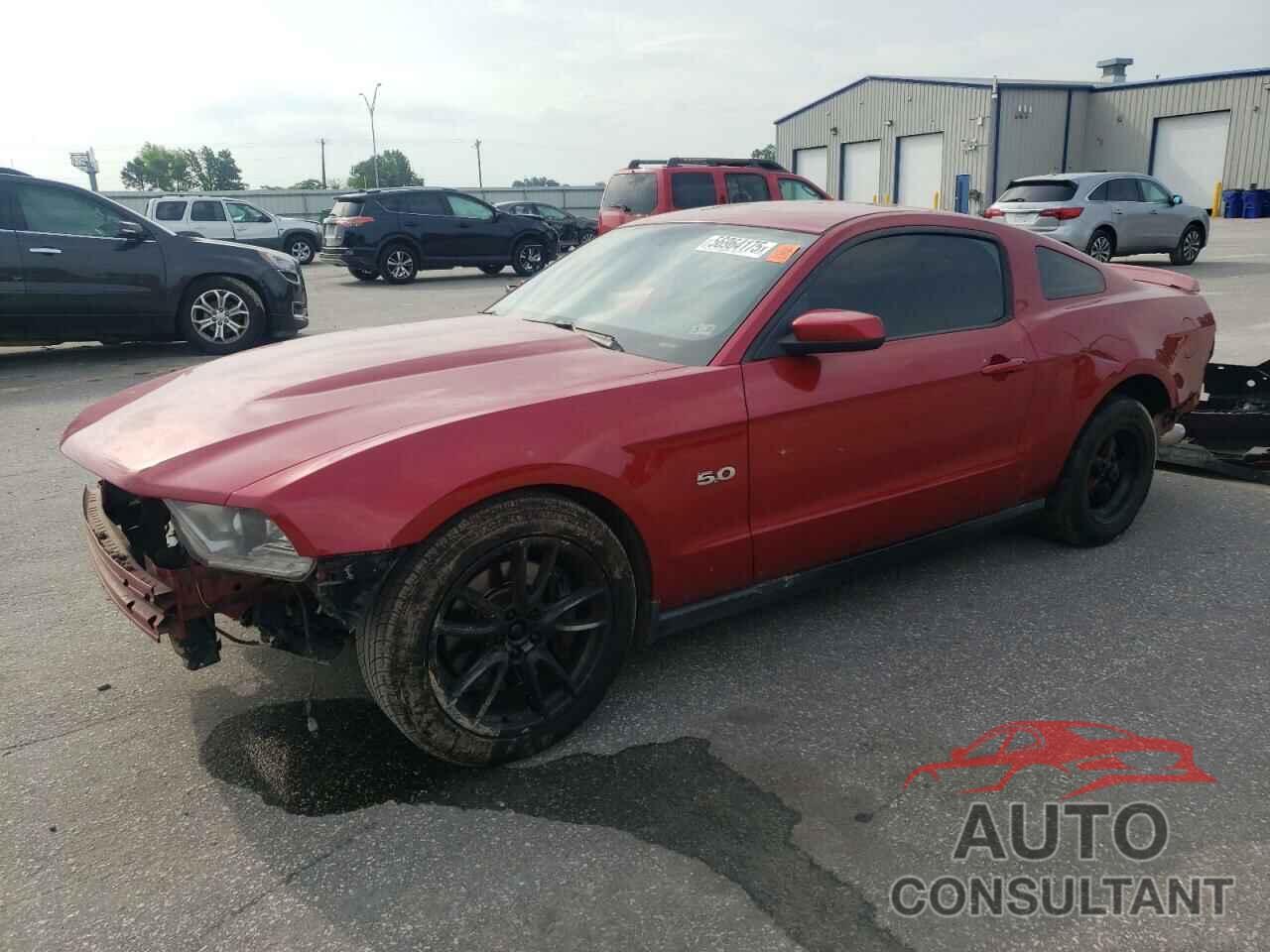 FORD MUSTANG 2011 - 1ZVBP8CF9B5121986