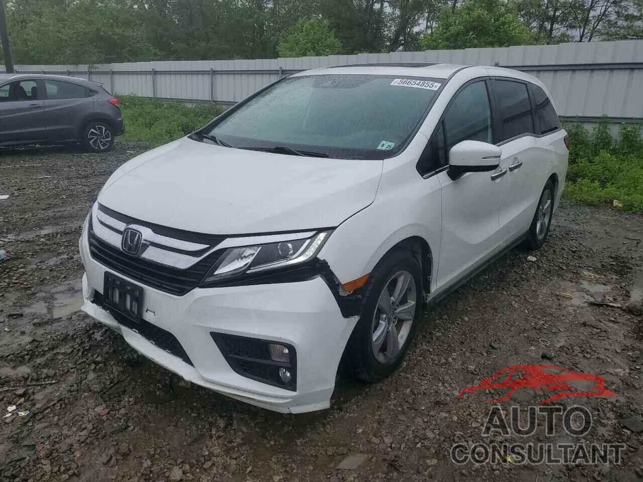 HONDA All Models 2020 - 5FNRL6H76LB069042