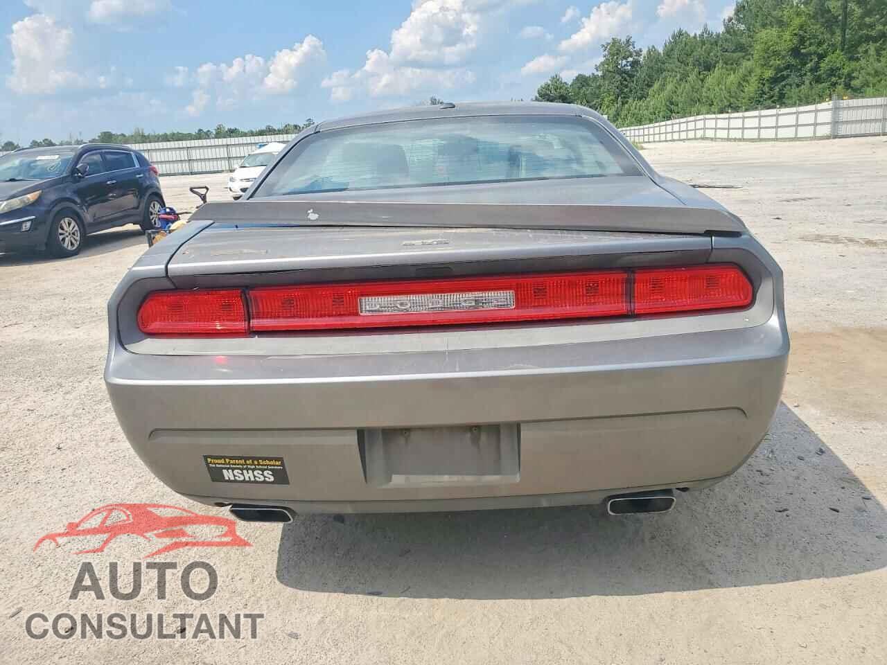 DODGE CHALLENGER 2012 - 2C3CDYAG2CH121225