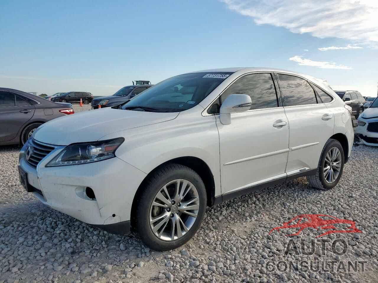LEXUS RX450 2014 - JTJZB1BA9E2010029