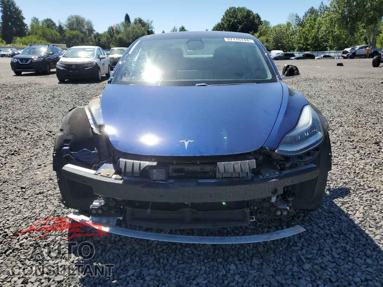 TESLA MODEL 3 2019 - 5YJ3E1EA4KF301185