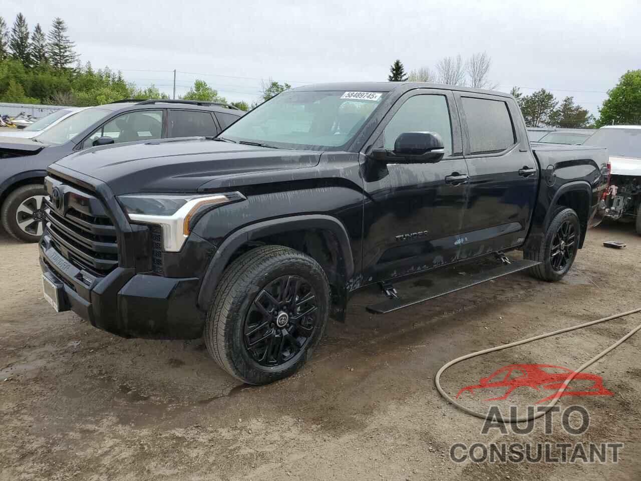TOYOTA TUNDRA 2024 - 5TFWA5DBXRX136303