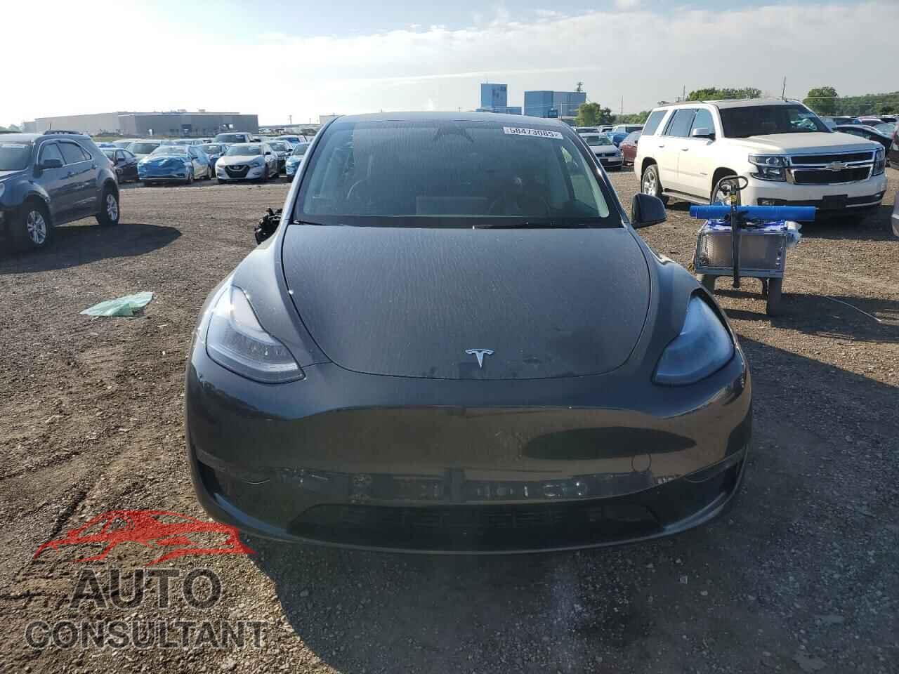 TESLA MODEL Y 2024 - 7SAYGDEEXRF199201