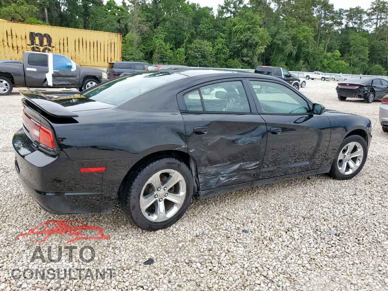 DODGE CHARGER 2014 - 2C3CDXHG0EH271739