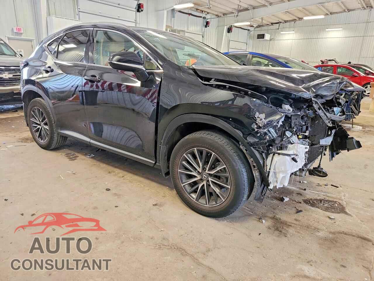 LEXUS NX 2024 - 2T2GDCAZ5RC007722