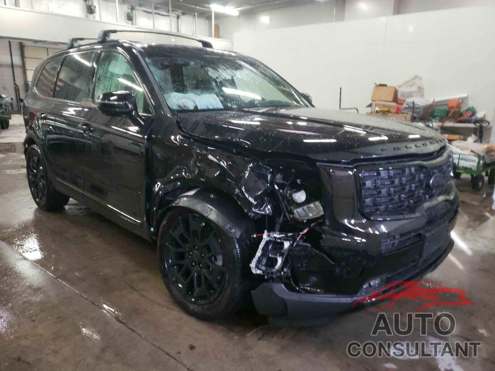 KIA TELLURIDE 2021 - 5XYP5DHC3MG116525