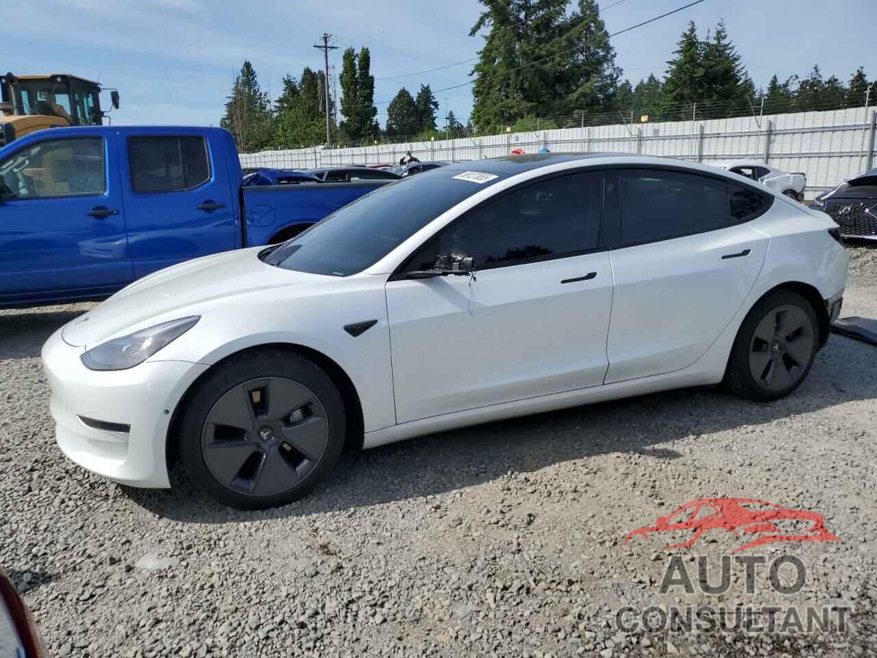 TESLA MODEL 3 2021 - 5YJ3E1EA1MF871521