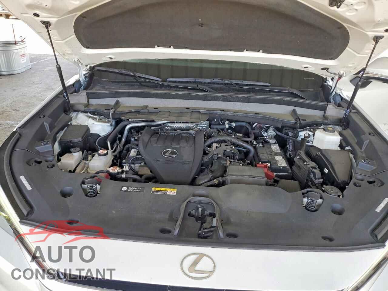 LEXUS UNKNOWN 2024 - 5TDAAAB67RS006235