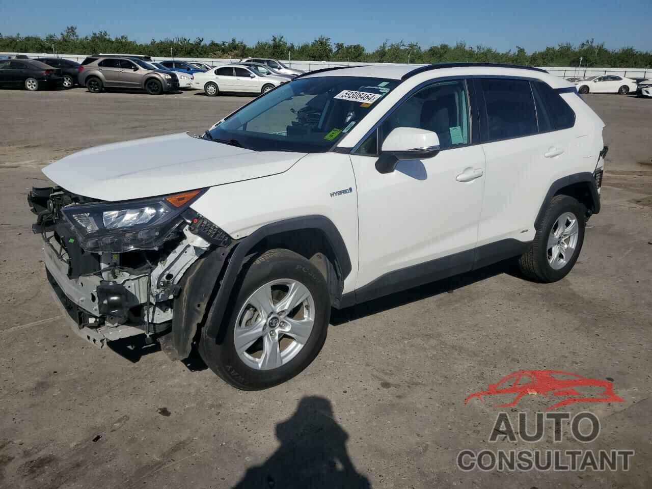 TOYOTA RAV4 2019 - 2T3MWRFV8KW004979