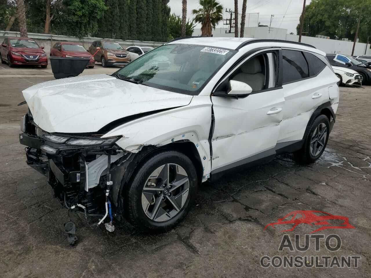 HYUNDAI TUCSON 2025 - 5NMJBCDE7SH460376