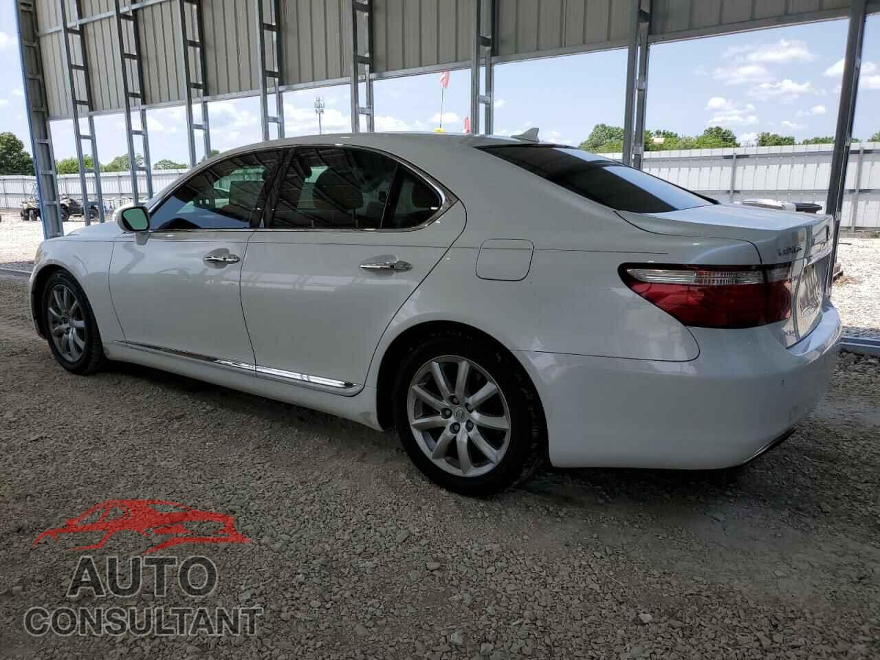 LEXUS LS460 2009 - JTHBL46FX95087634