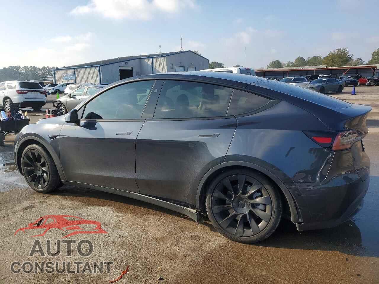 TESLA MODEL Y 2024 - 7SAYGDED8RF156841
