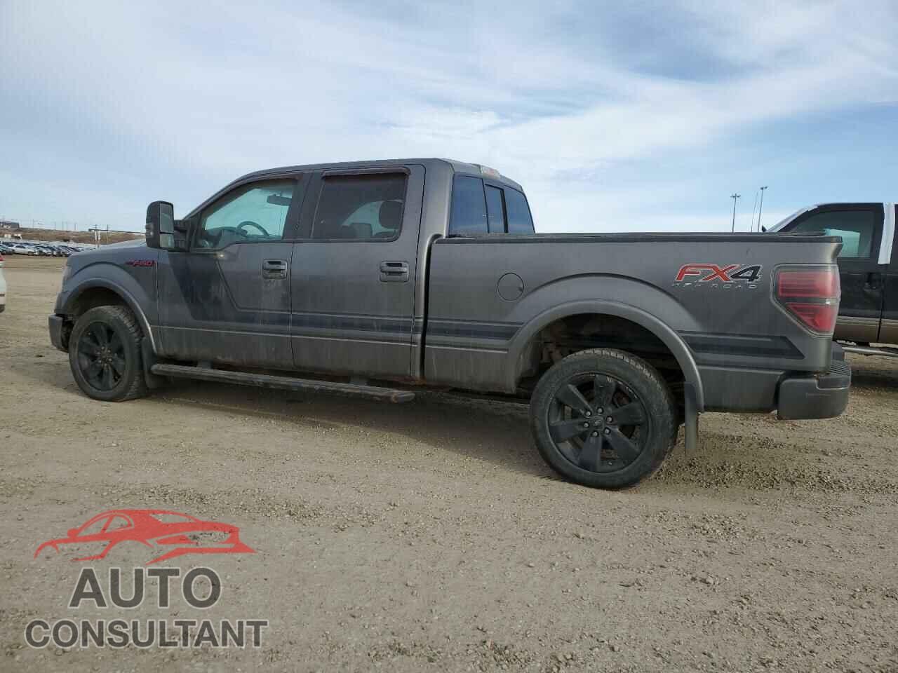 FORD F-150 2014 - 1FTFW1ET8EFA87961