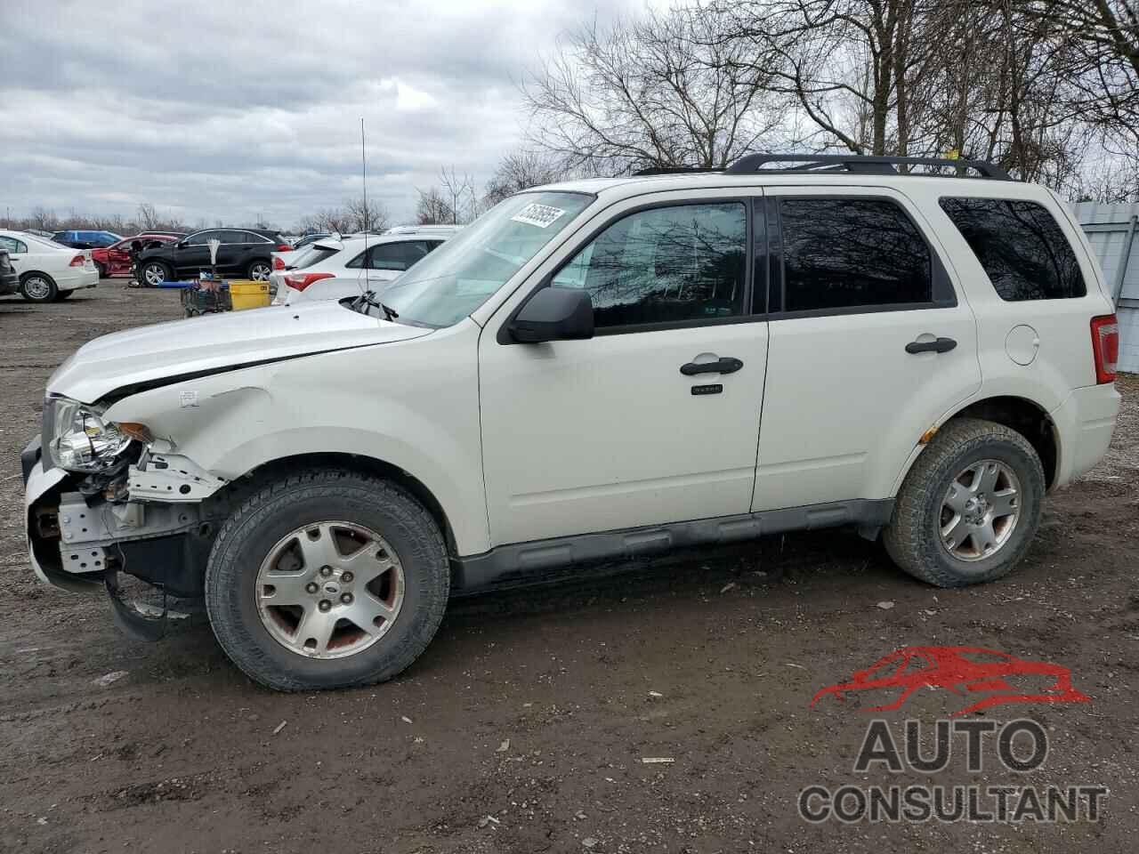 FORD ESCAPE 2009 - 1FMCU03G99KC33186