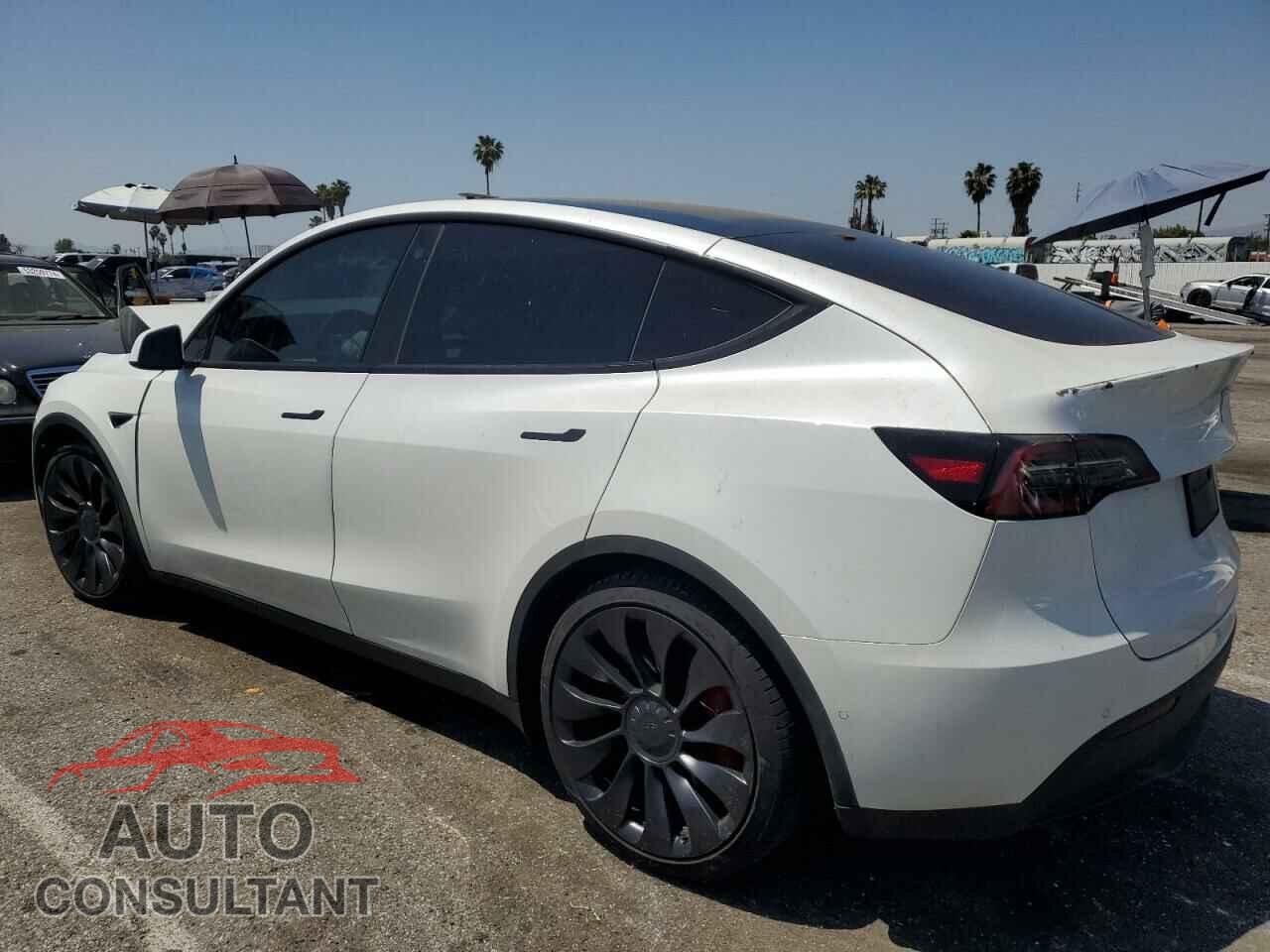 TESLA MODEL Y 2022 - 7SAYGDEF2NF488253
