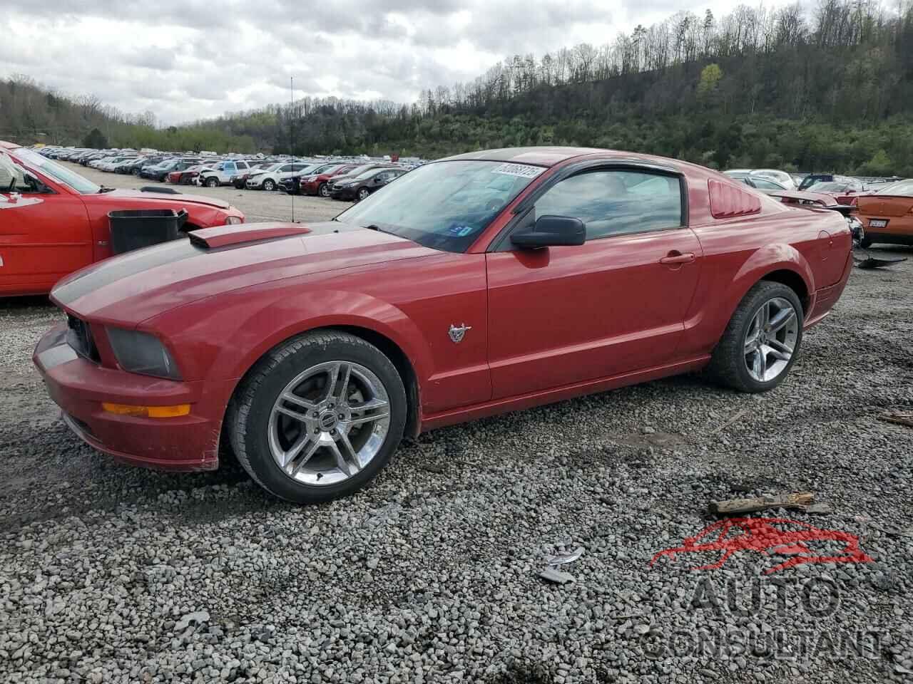 FORD MUSTANG 2009 - 1ZVHT82H595119834