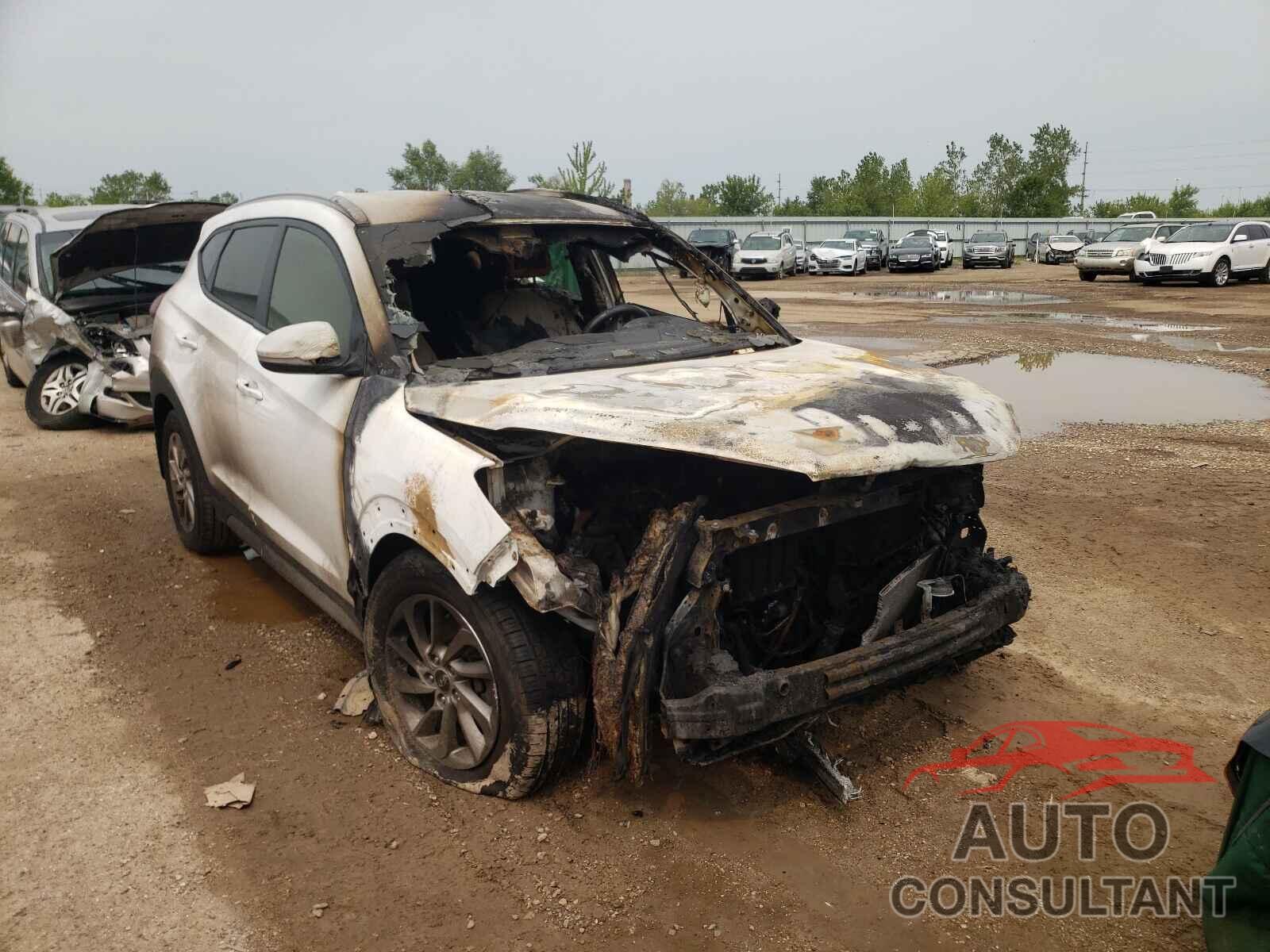 HYUNDAI TUCSON 2017 - KM8J3CA41HU388547