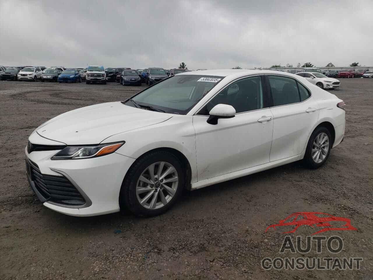 TOYOTA CAMRY 2023 - 4T1C11AK0PU727590