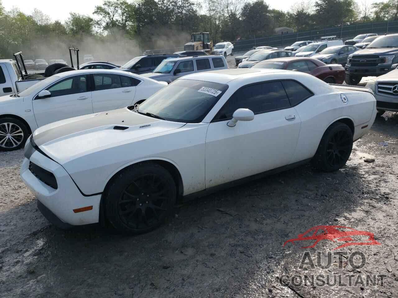 DODGE CHALLENGER 2013 - 2C3CDYBT8DH540774