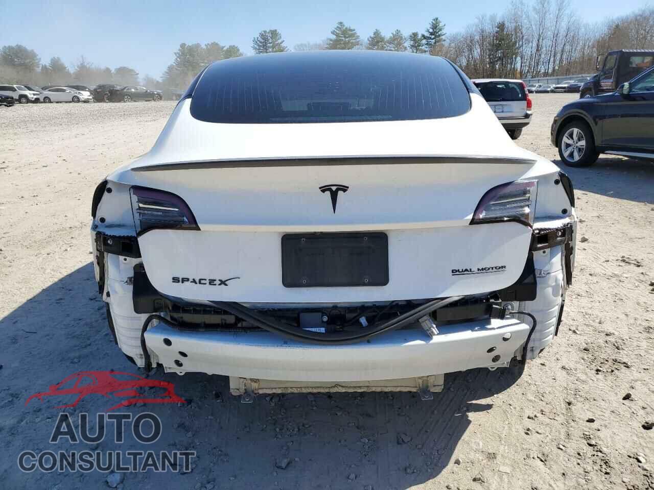 TESLA MODEL 3 2019 - 5YJ3E1EB0KF231791