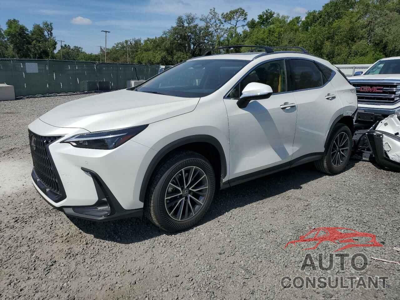 LEXUS NX 250 PRE 2025 - JTJGDCAZ3S2022970