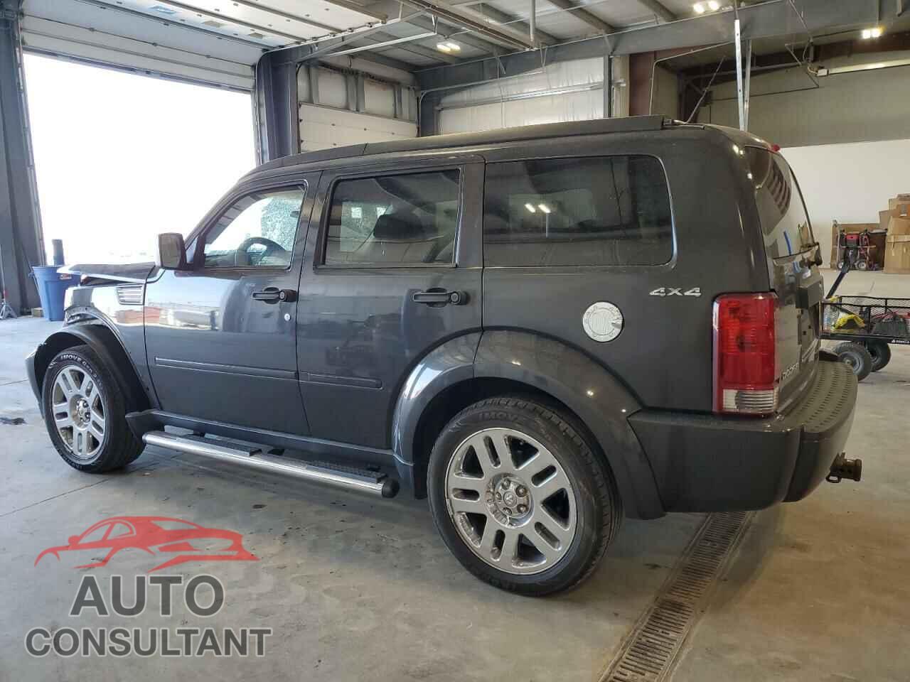 DODGE NITRO 2010 - 1D4PU2GK9AW141981
