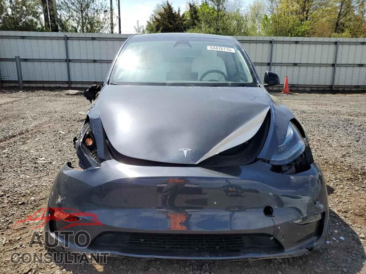 TESLA MODEL Y 2024 - 7SAYGDEE2RA227358