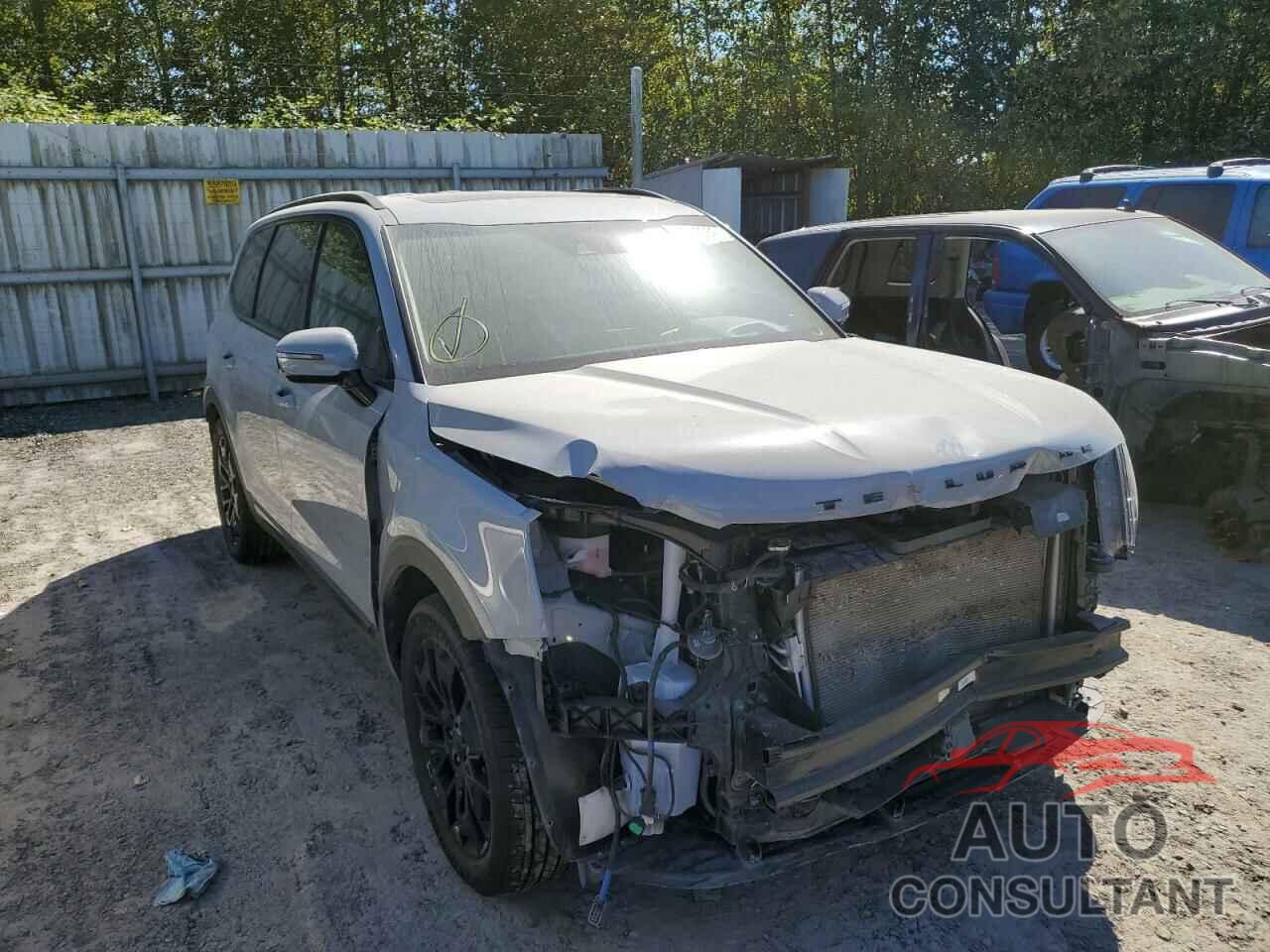 KIA TELLURIDE 2021 - 5XYP5DHC7MG174007