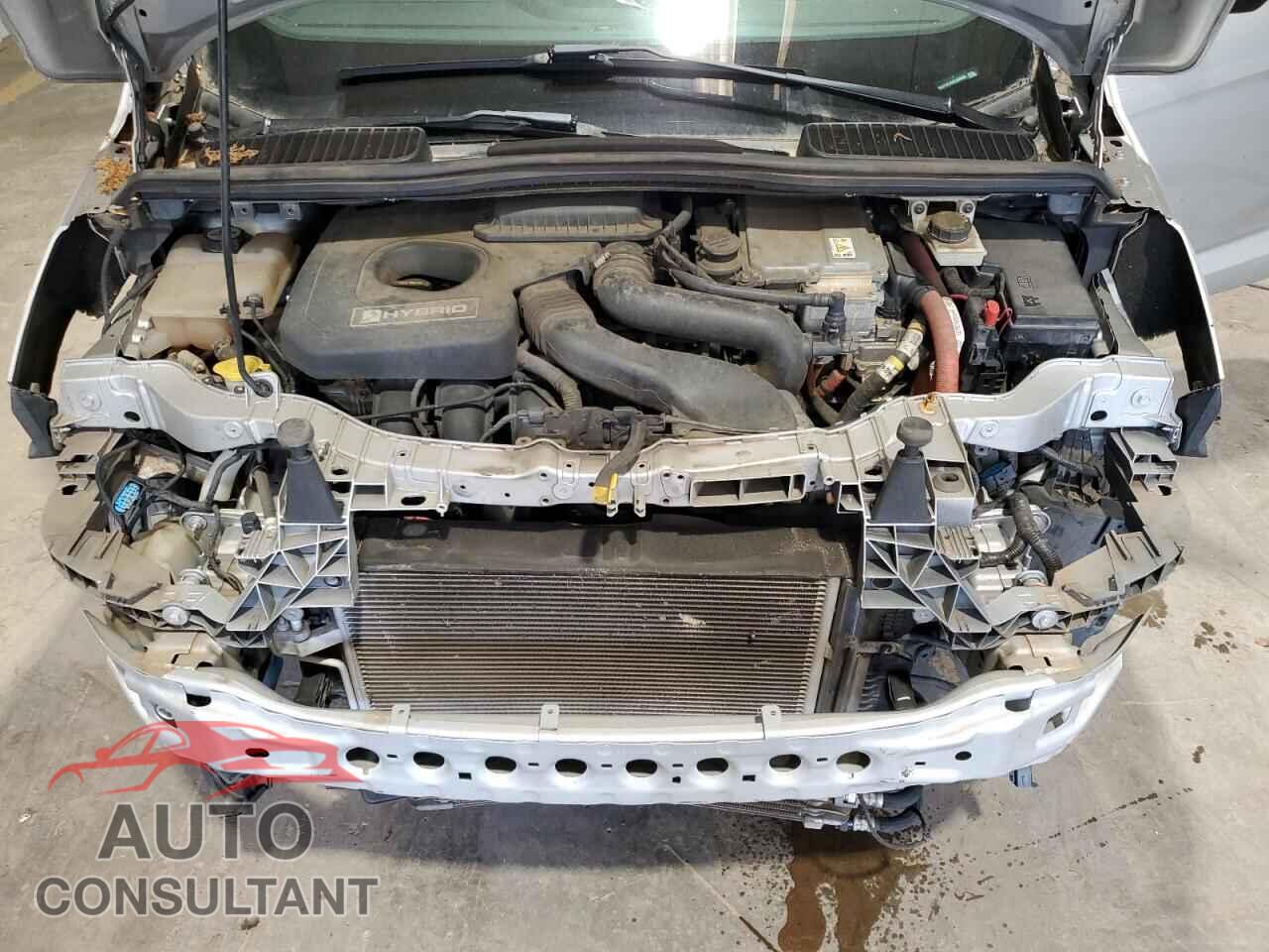 FORD CMAX 2013 - 1FADP5BU6DL534656