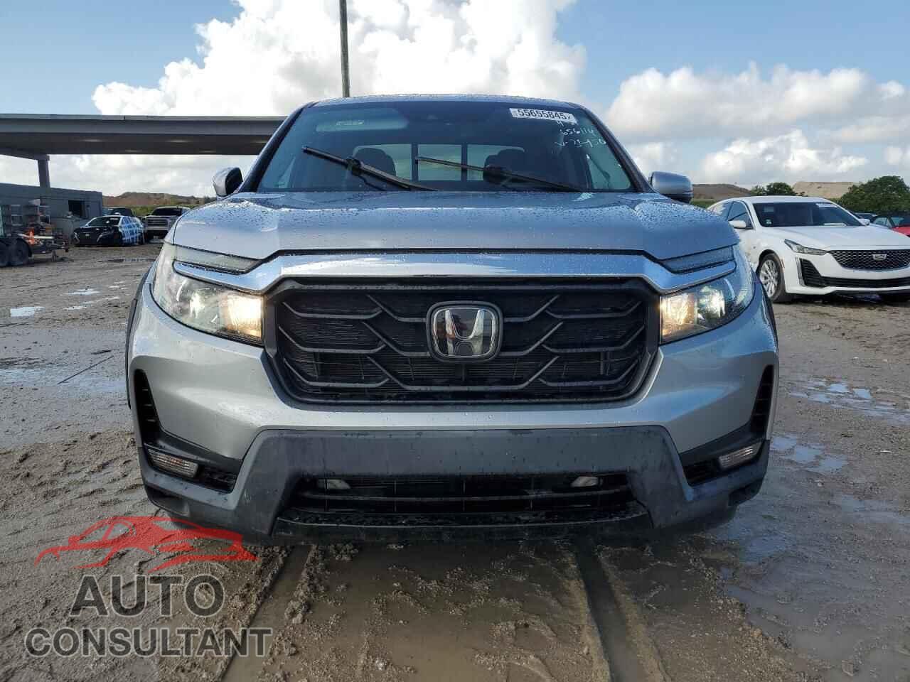 HONDA RIDGELINE 2021 - 5FPYK3F74MB013450
