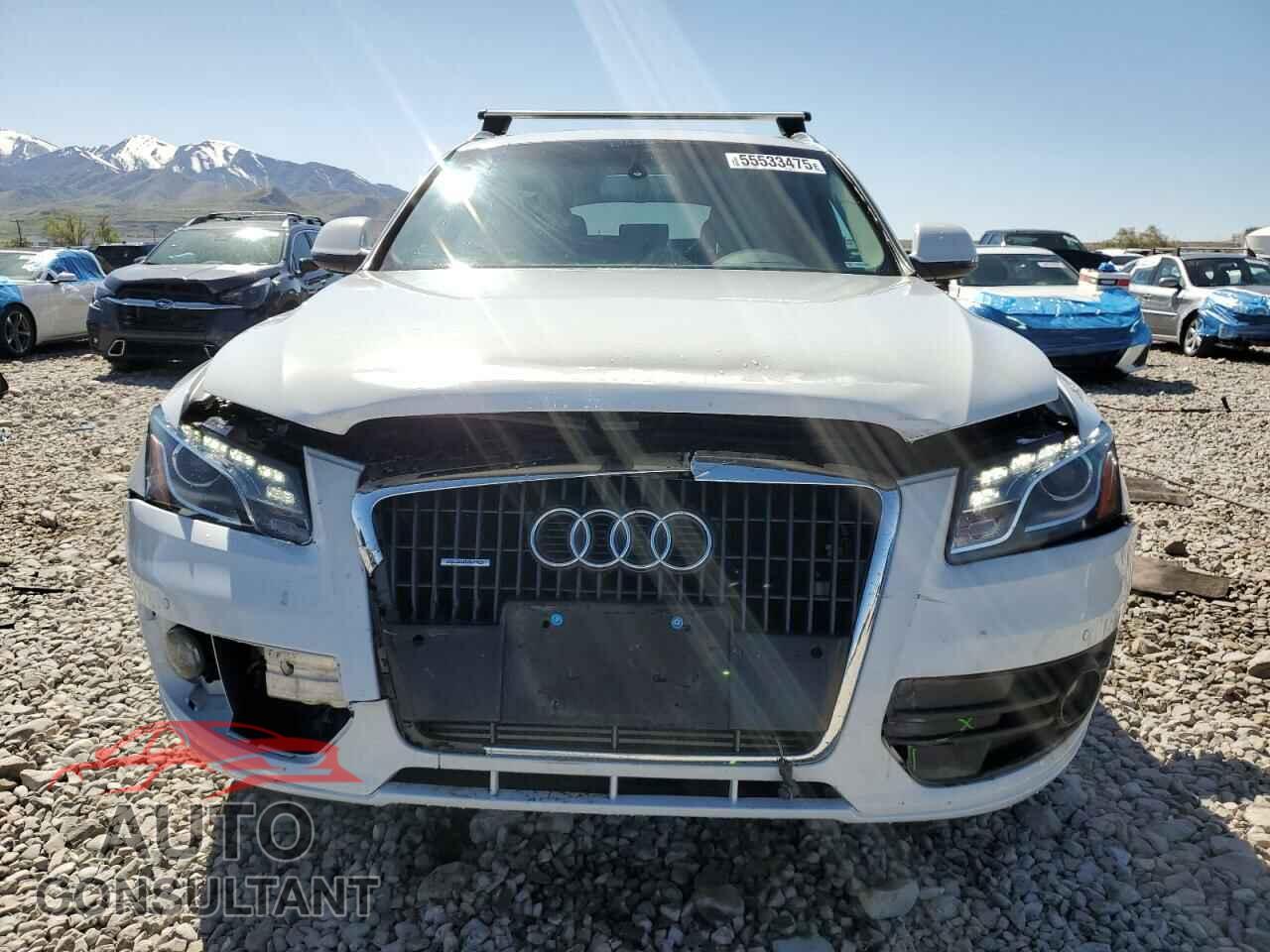 AUDI Q5 2012 - WA1LFAFPXCA094287