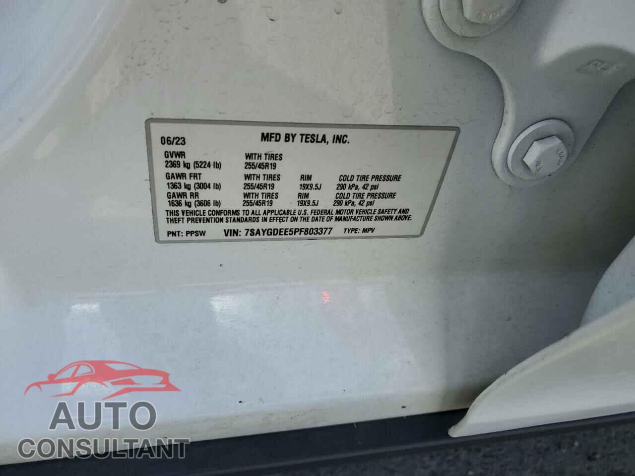 TESLA MODEL Y 2023 - 7SAYGDEE5PF803377