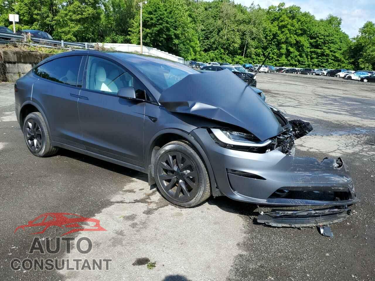 TESLA MODEL X 2023 - 7SAXCAE54PF384394