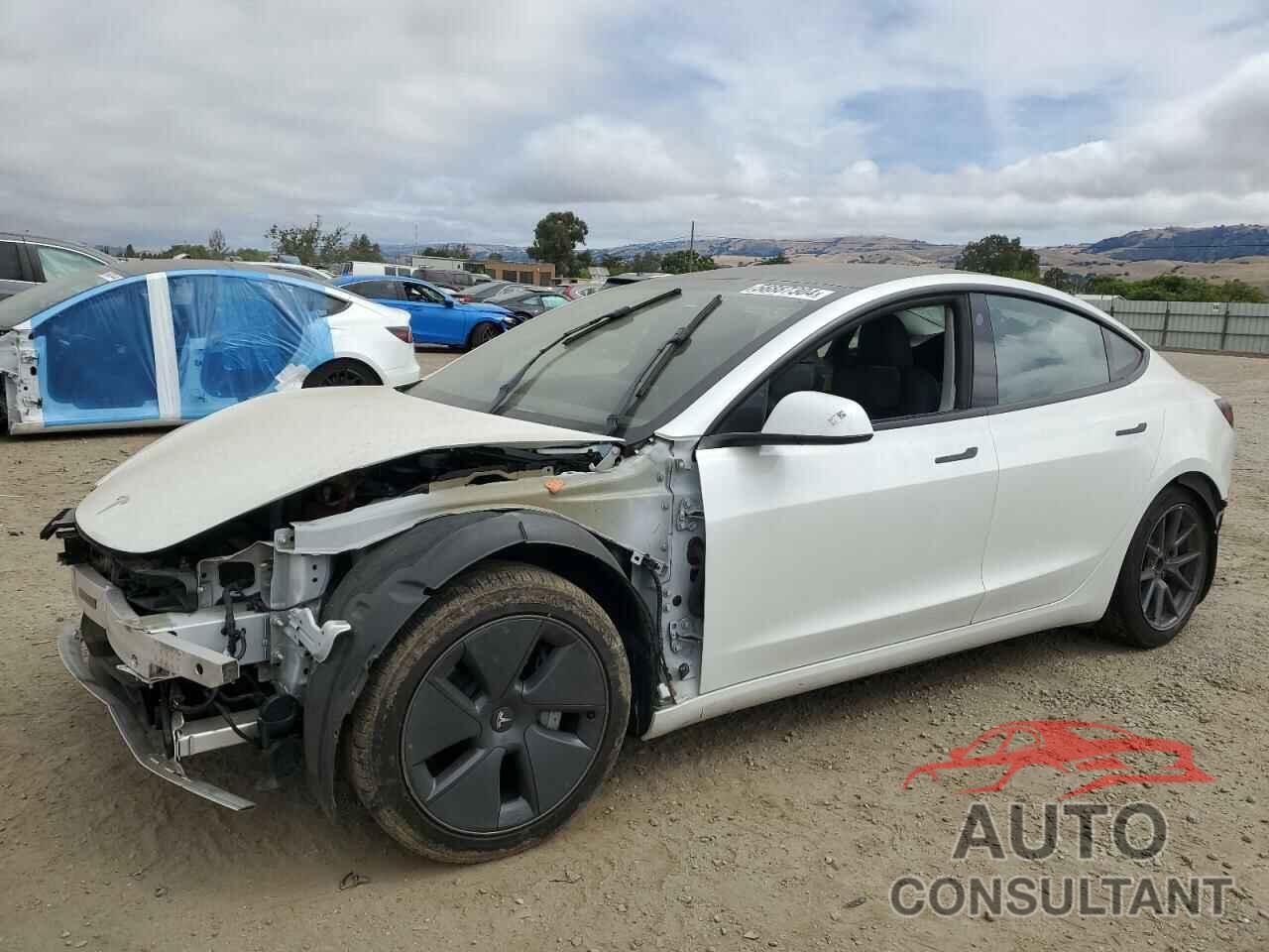 TESLA MODEL 3 2021 - 5YJ3E1EA6MF076061