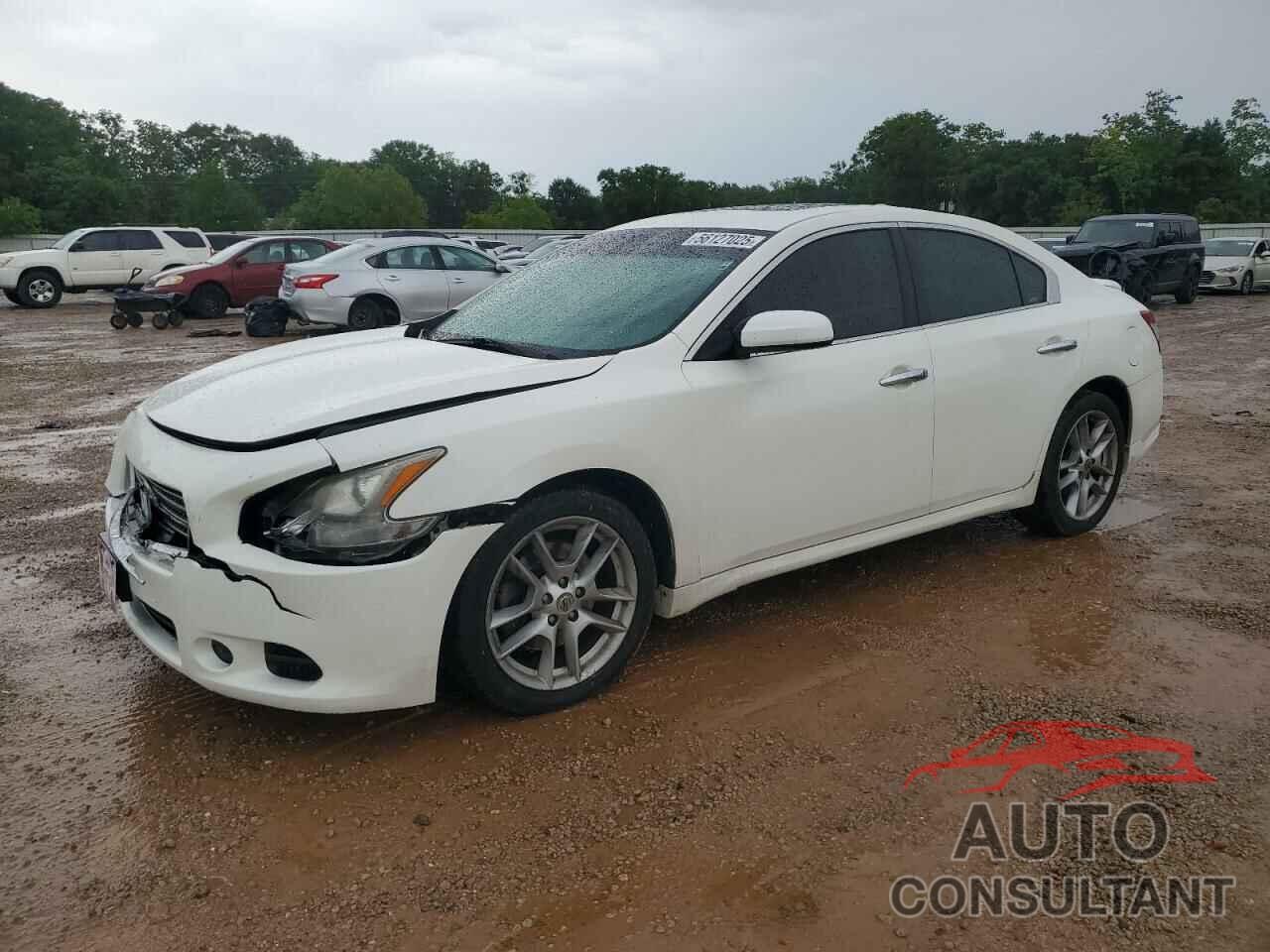 NISSAN MAXIMA 2010 - 1N4AA5AP0AC803438