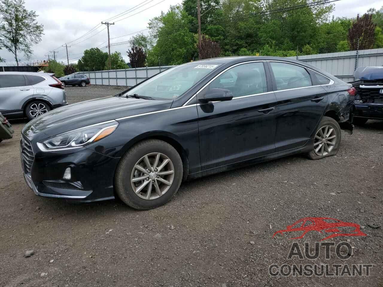 HYUNDAI SONATA 2019 - 5NPE24AF2KH813064