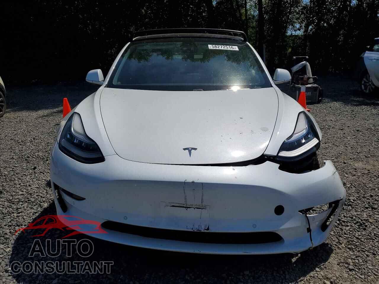 TESLA MODEL 3 2018 - 5YJ3E1EA2JF161779