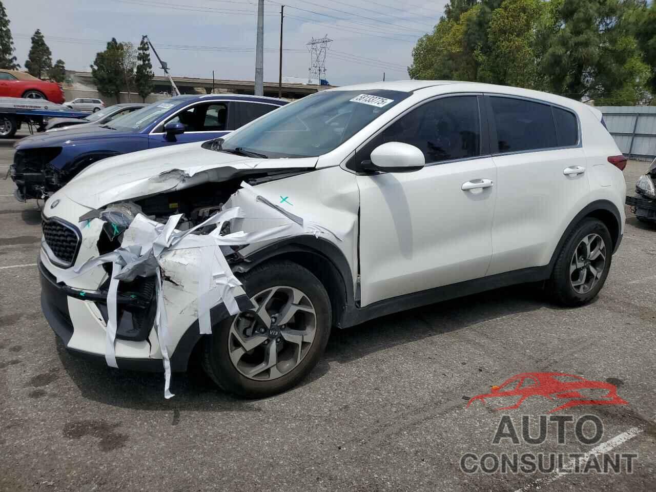 KIA SPORTAGE 2022 - KNDPM3AC3N7978522