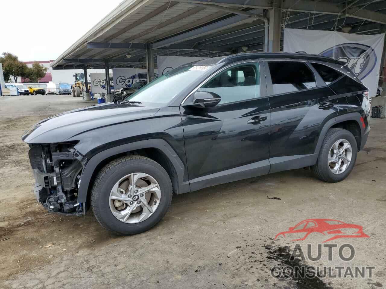 HYUNDAI TUCSON 2023 - 5NMJBCAE7PH205139