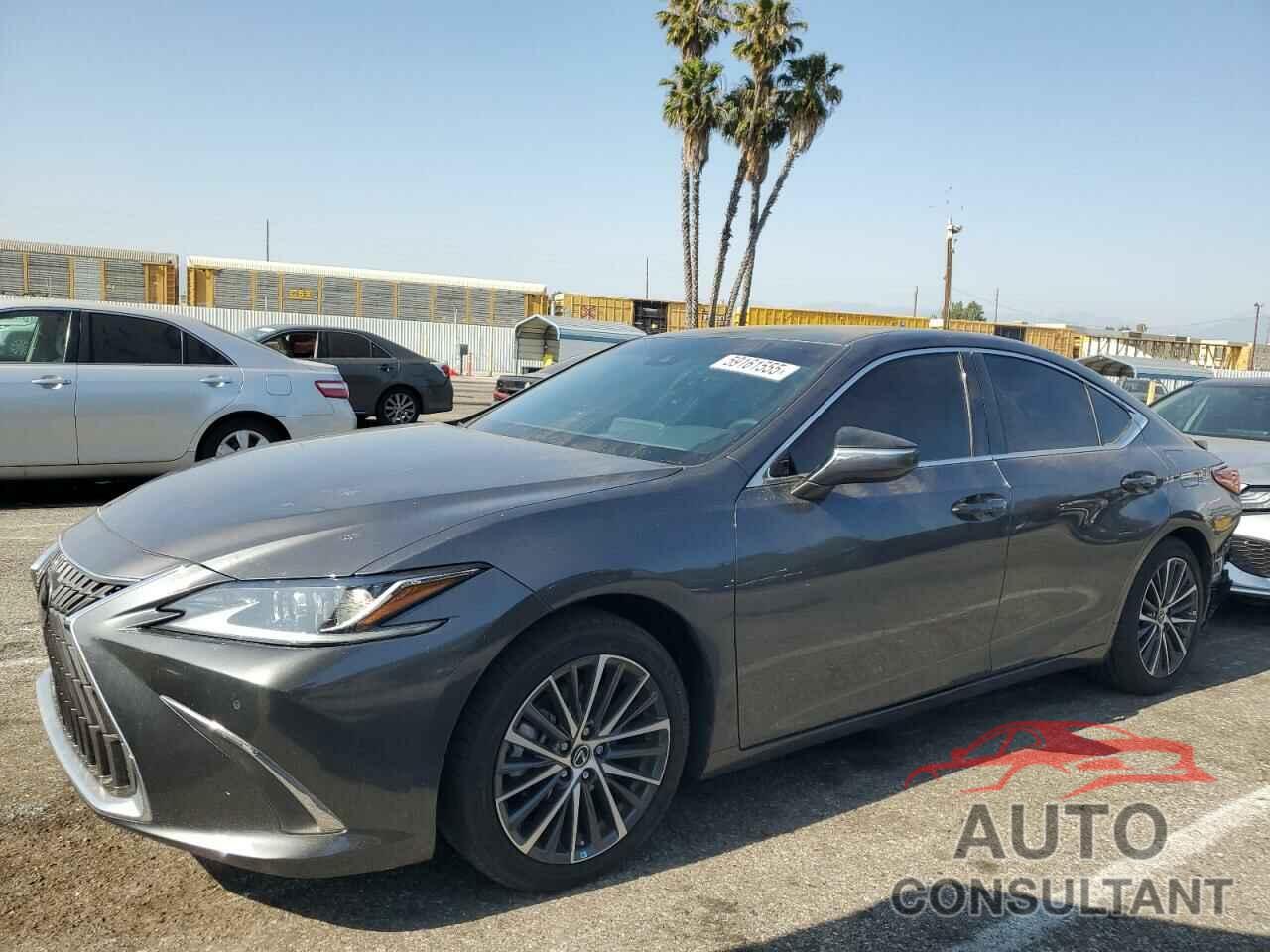 LEXUS ES300 2023 - 58ADA1C18PU031464