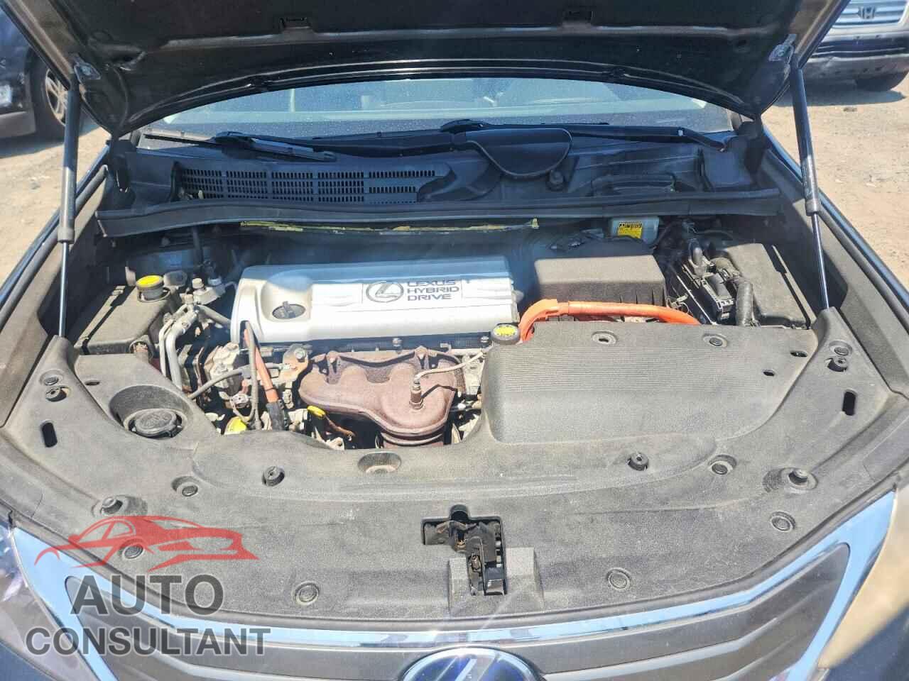 LEXUS HS 2010 - JTHBB1BA2A2008359