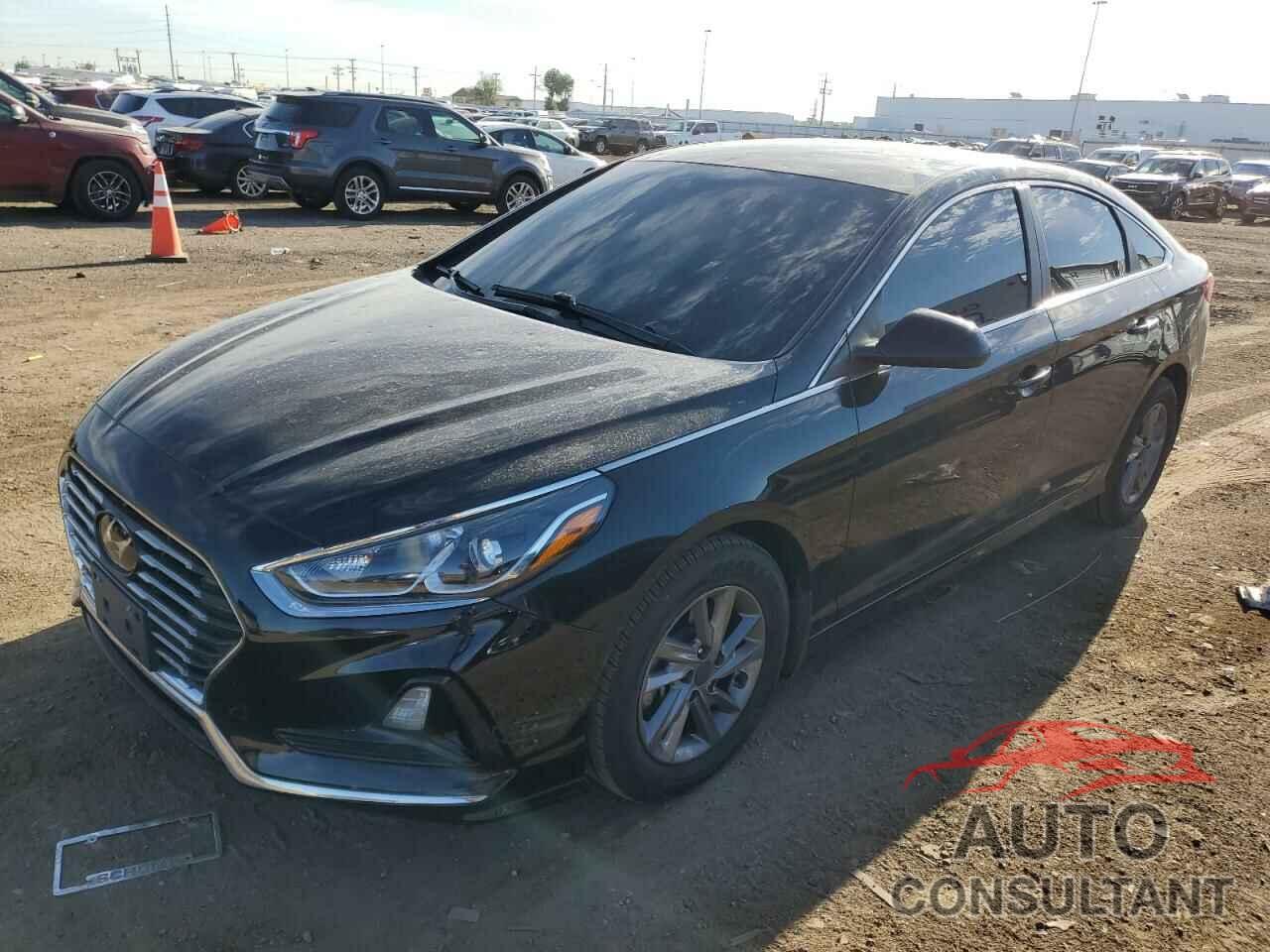 HYUNDAI SONATA 2019 - 5NPE24AF5KH807677