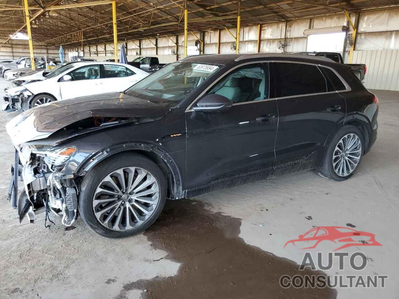 AUDI E-TRON 2019 - WA1VABGE7KB010428